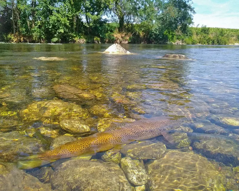 connaissance du debit des cours d'eau